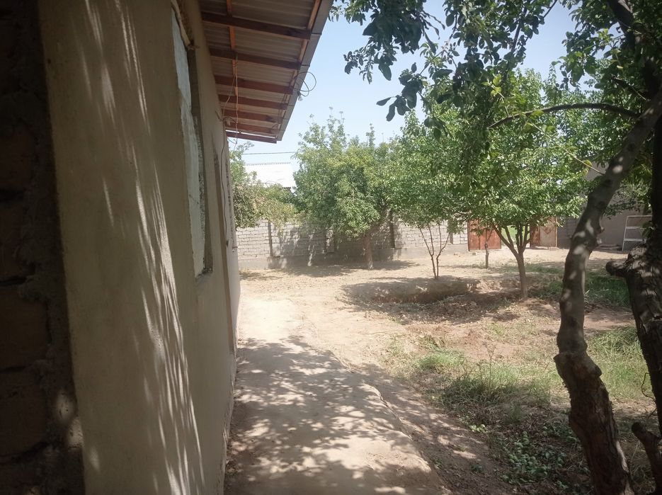 Aralovul mahallasidan 6 sutikli uchastka sotiladi,