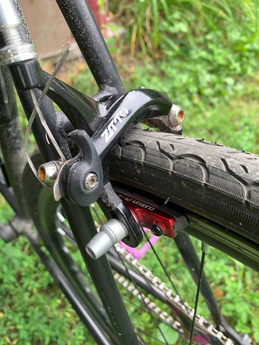 Octopus Vulgaris ST | fixed gear, single speed
