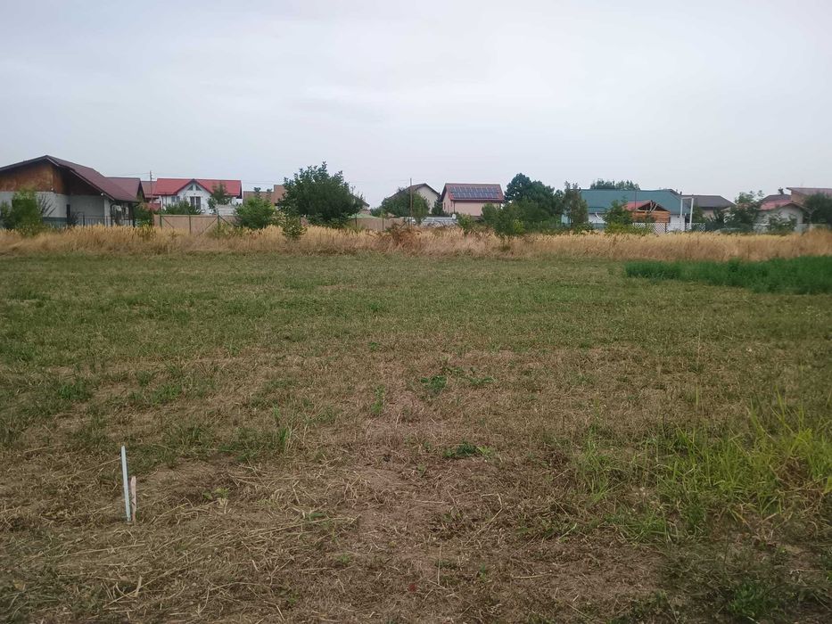 Teren Teghes Domnesti