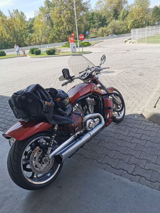 Harley-Davidson vrscf