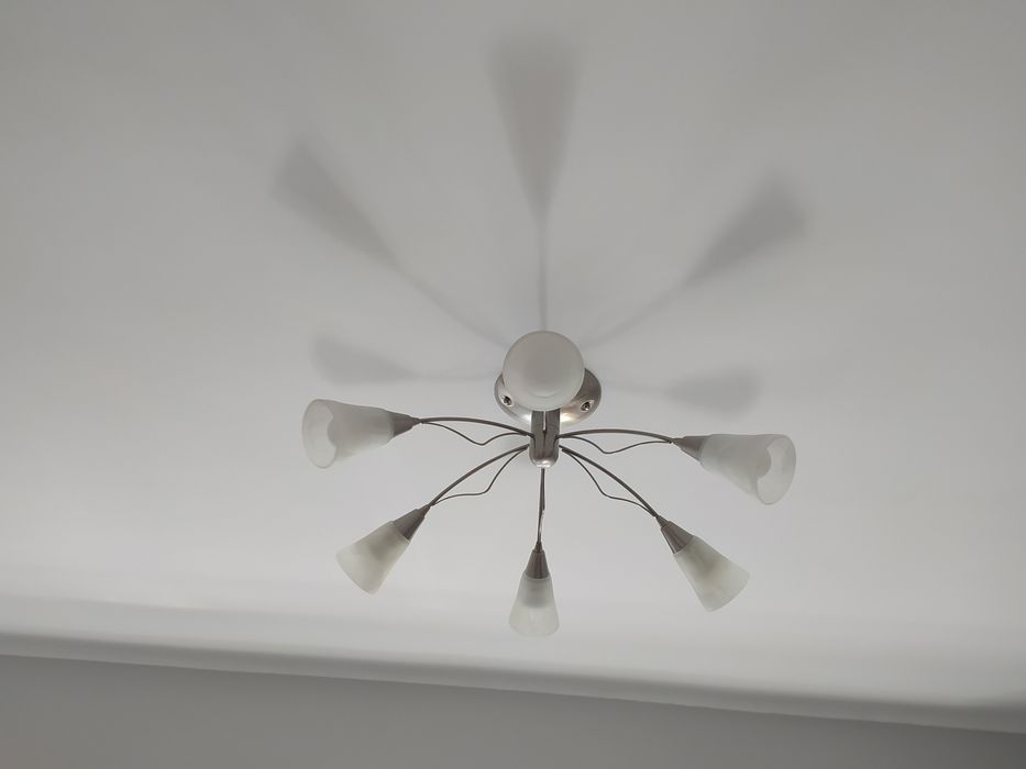 Иноксов Полюлей.