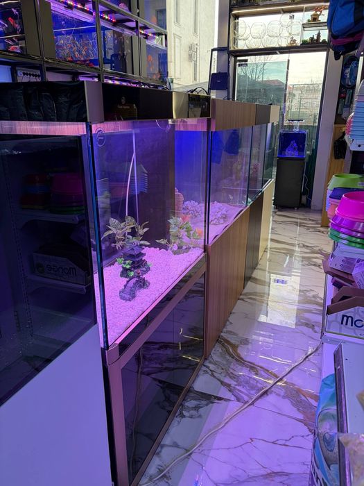 Akvarum va baliq magazin