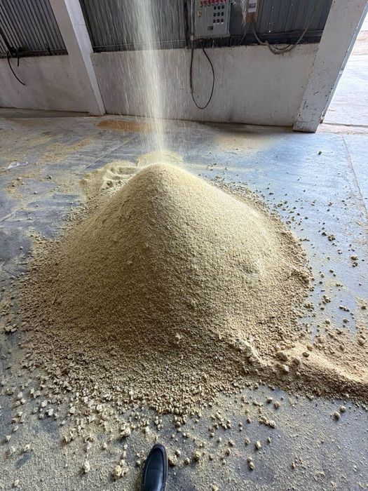 Соя шрот протеин 49 %