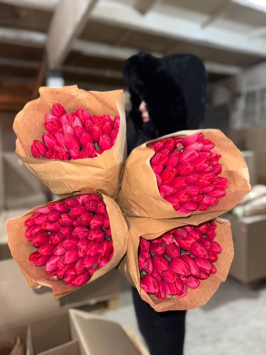 Тюльпаны предзаказ на 8е марта