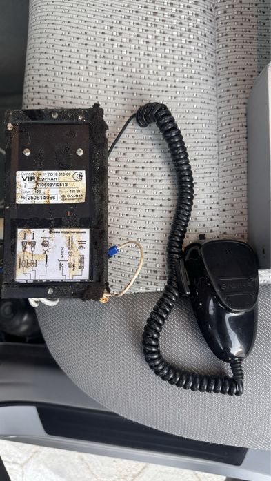 Сгу элина федирал