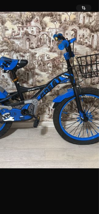 Велосипед с гарантией, Phillips