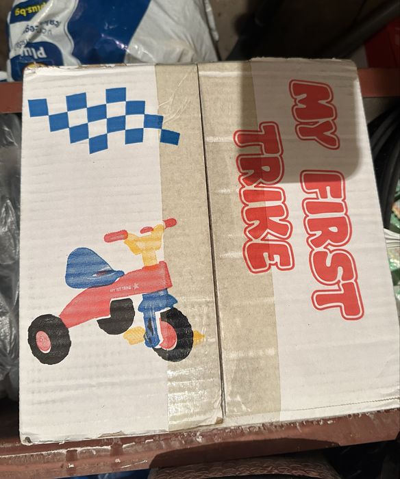 Триколка My First Trike - DOLU