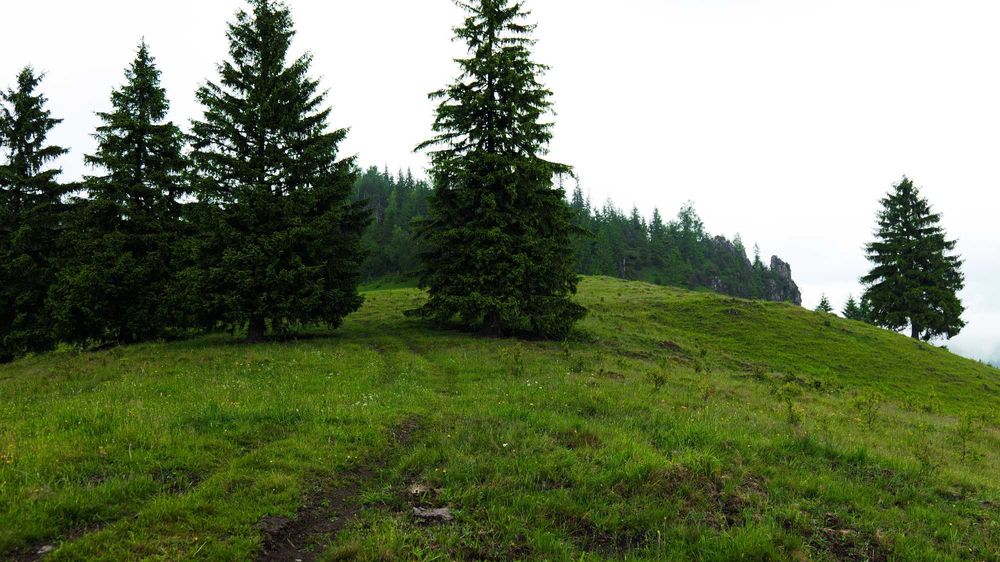 Unicat! 17 Ha Hectare teren intravilan + extravilan in Fundu Moldovei