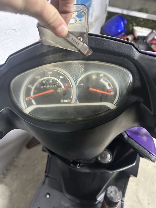 На продаже лия сурпа