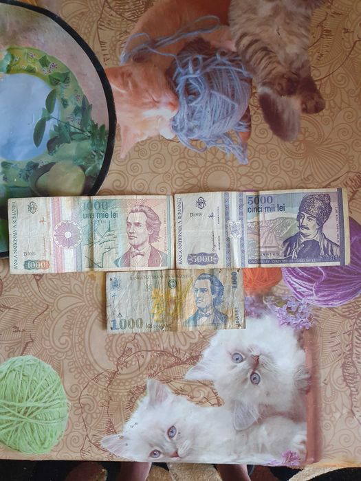 Vănd bancnote vechi din 91,93,98+ plus monezi străine și românești