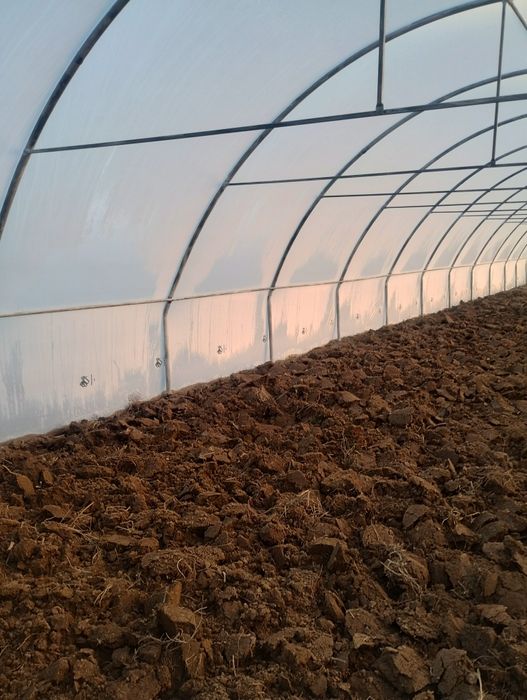 Solarii pentru familie reduceri mari