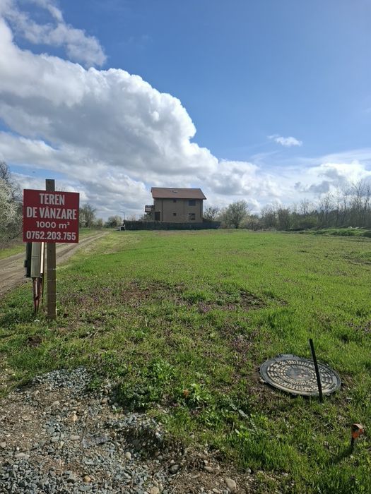 Teren de Vanzare la padure si lac   Cernica  Caldararu 1000metri