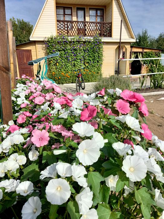 Продам дачу кировец-2