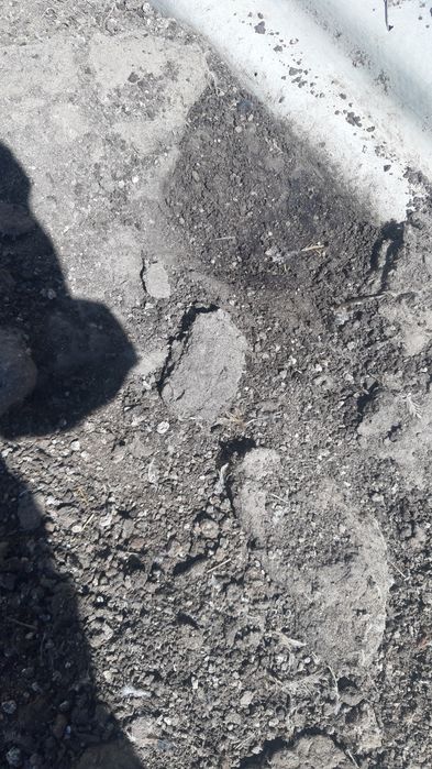 Навоз ,үй қүсының көңі