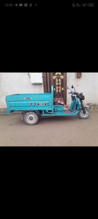 Электро мурове год 2024