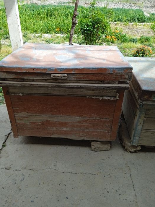 Асалари яшиклари