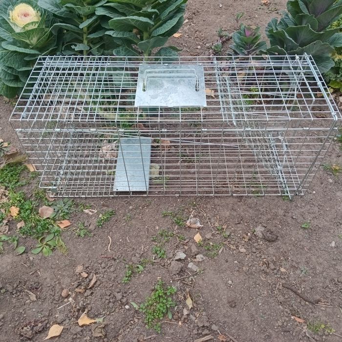 Продам кошколовку