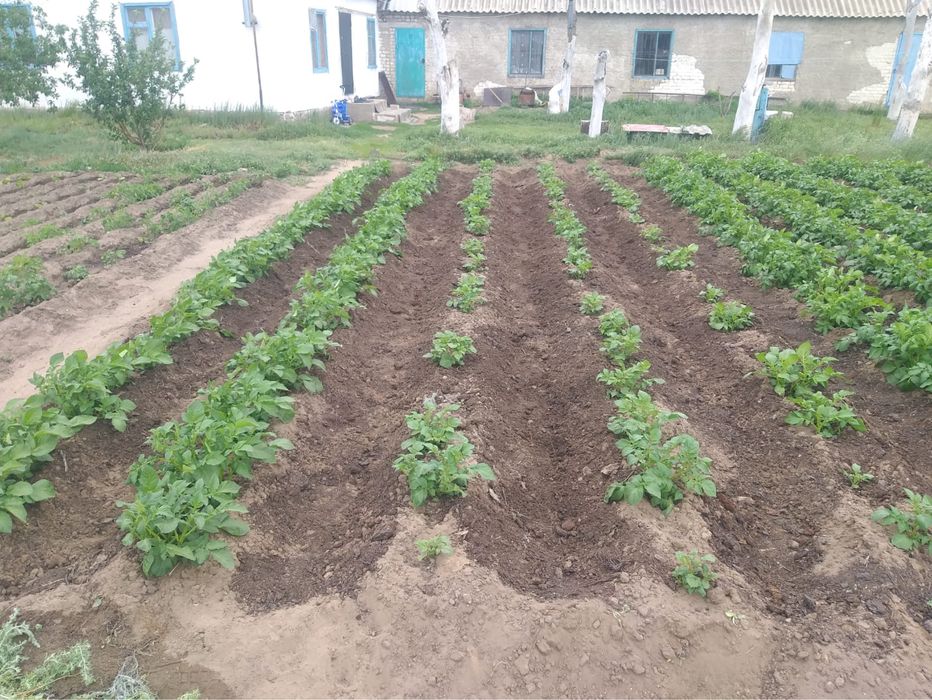 Продам базу р Курайлы