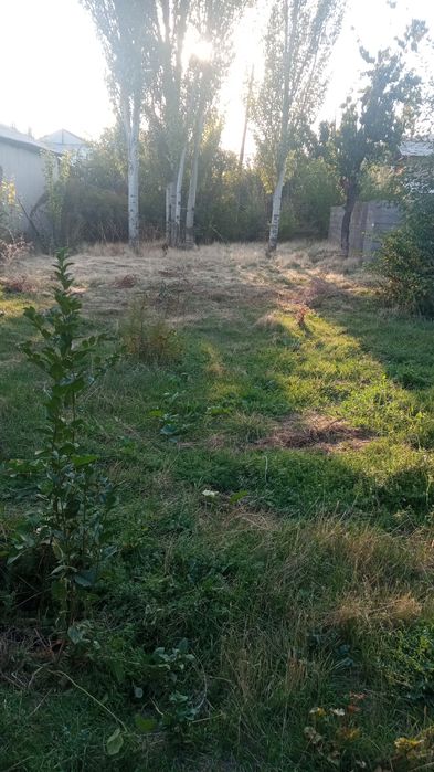 Земля большое 24