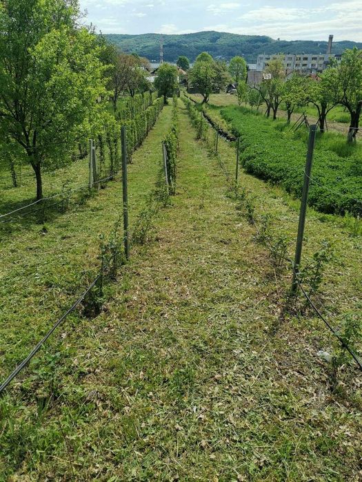 Vand teren Curtea de Arges