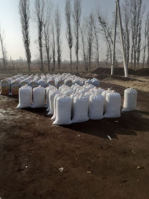 Biogomis toshkent