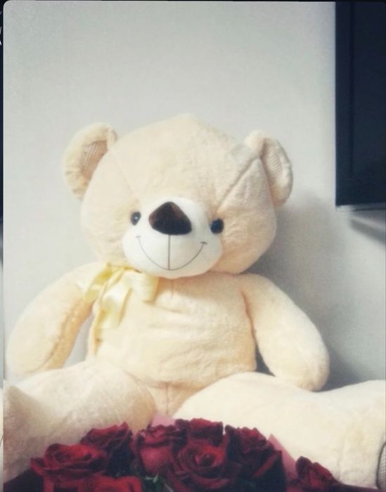 медведь из romantic.krg