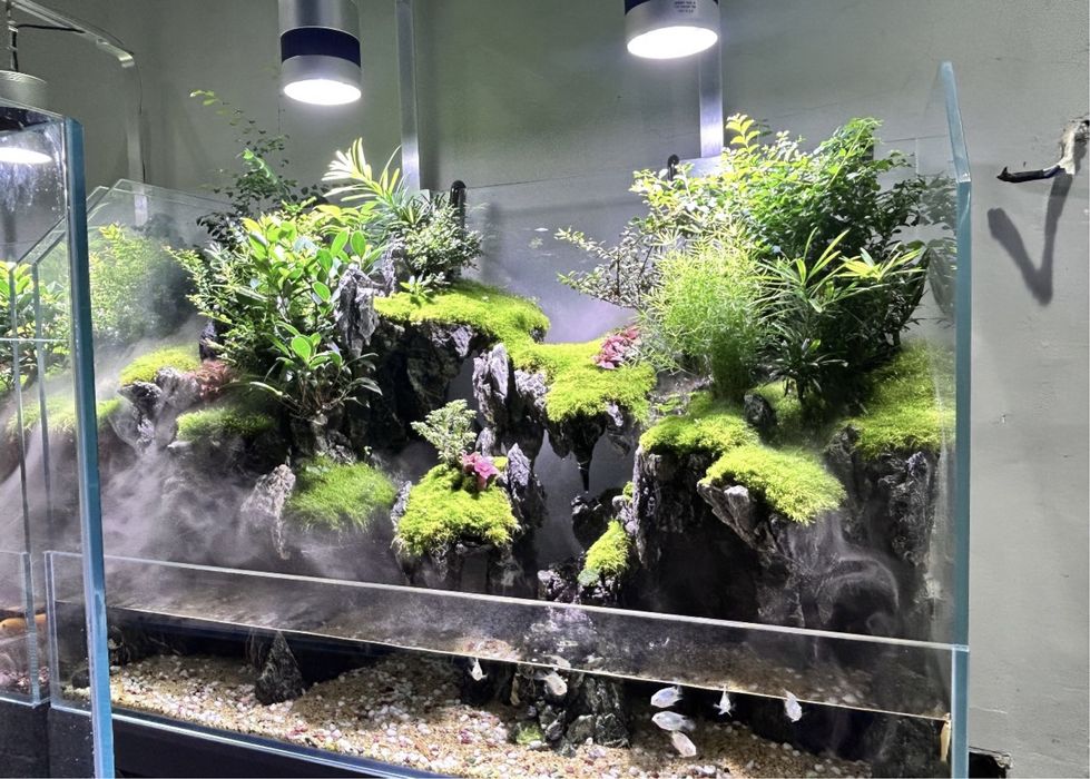 Продажа рыб и его обслуживание