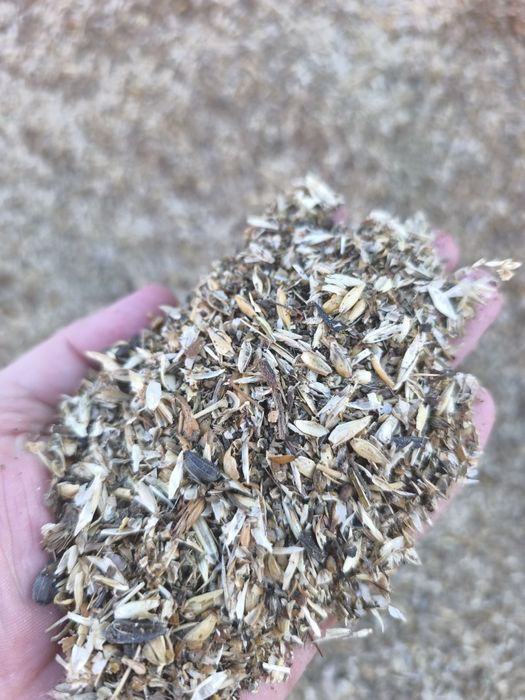 Продам отходы зерноотходы зерносмесь