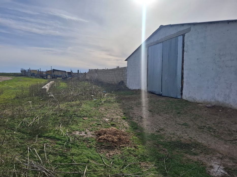 Действующее К/Х 1200гектар