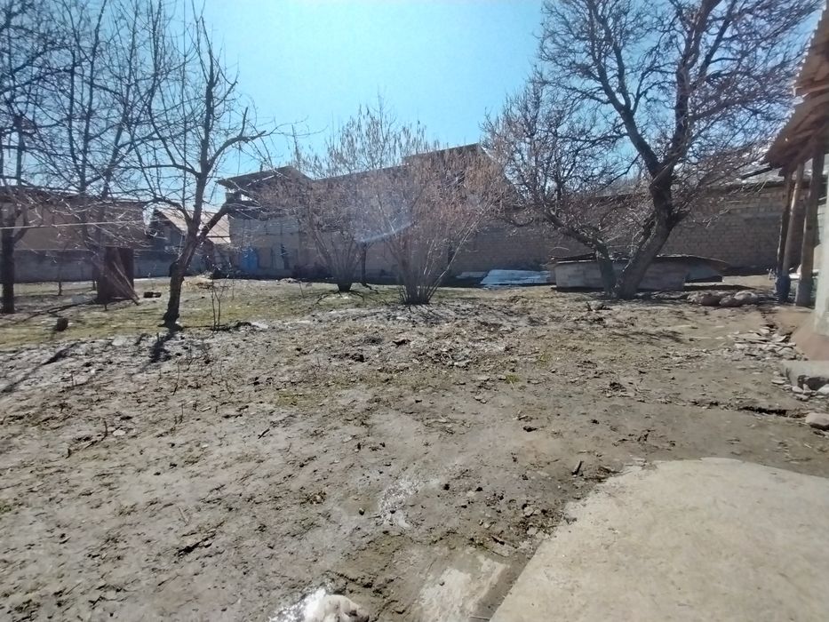 Dacha uy solaman diganlar uchun kadastir xujjatlari bor tayyor