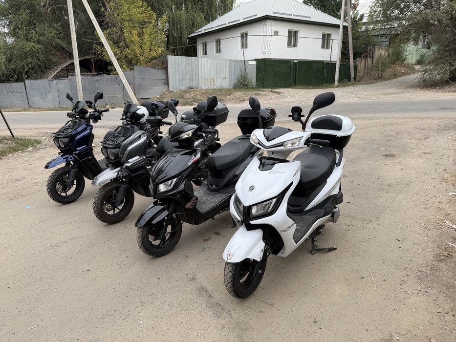 Аренда выкуп мопедов