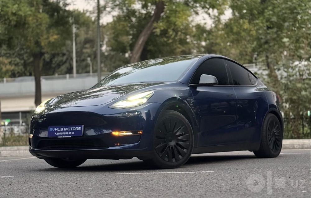Tesla Model Y Performance 2022