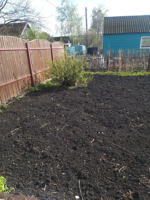 Дача, общество Новинка