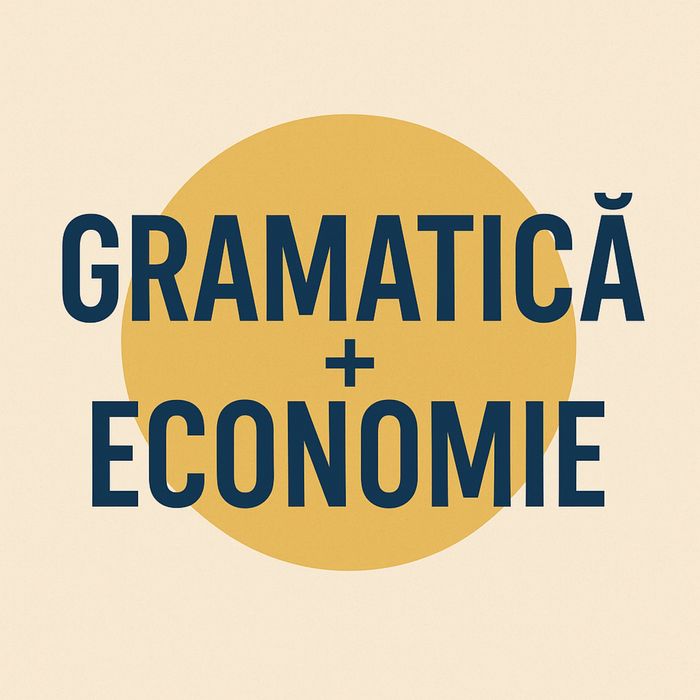 Meditatii Gramatică-Economie