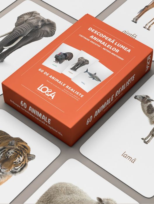 Set 60 Cartonașe Montessori Animale Reale - Dezvoltare Inteligență