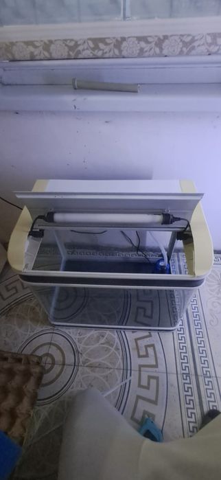 Заводской аквариум. Для рыбы.