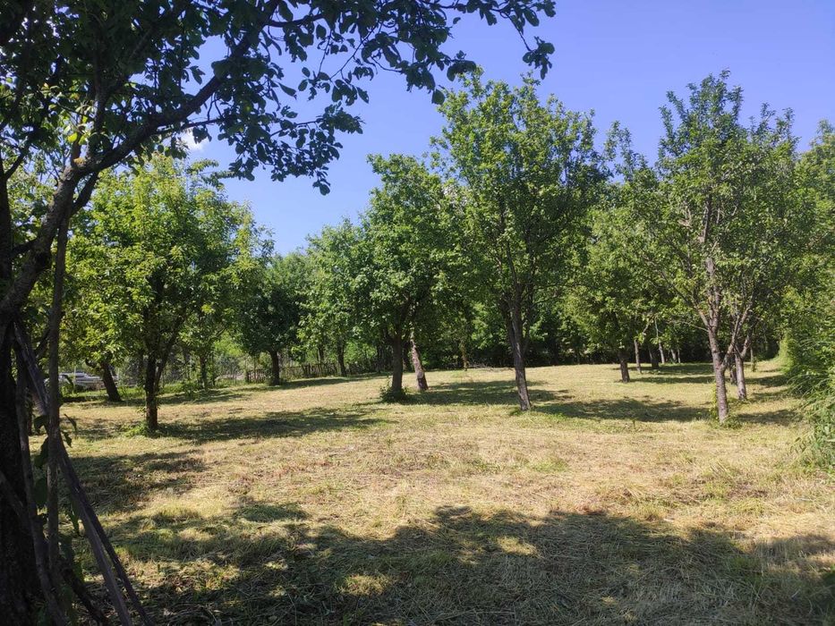 Vila cu gradina si pomi fructiferi 2500mp Dambovita