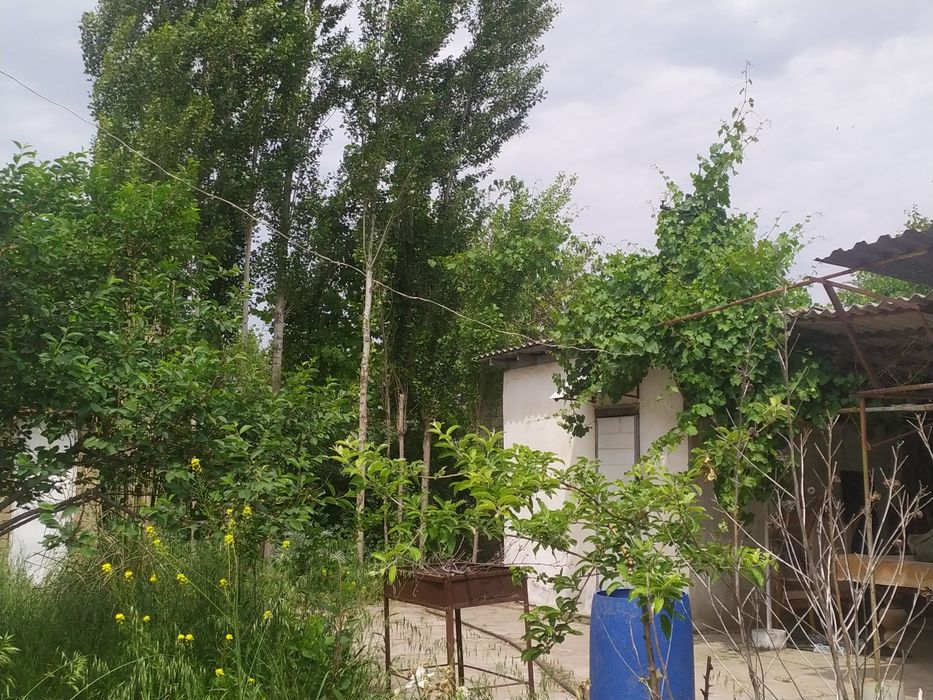 Срочно Продается дача!