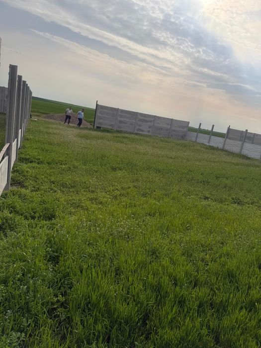 Teren in Posta la doar 10 minute de bucuresti