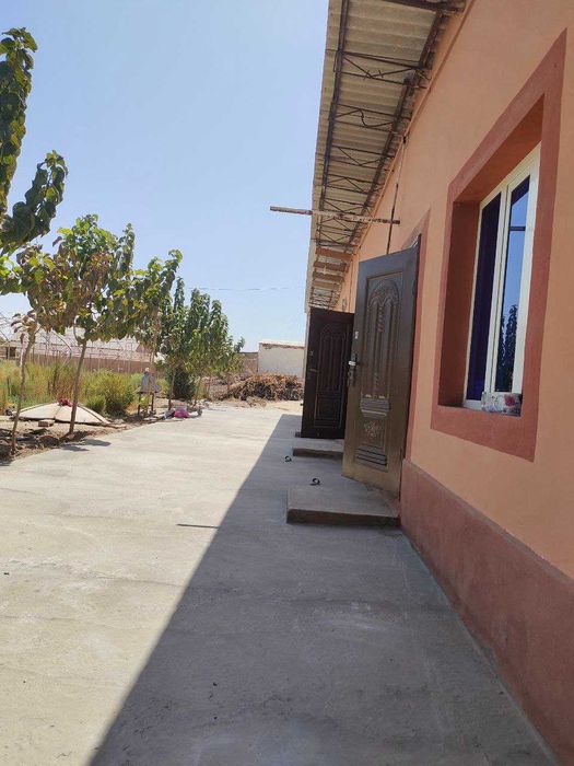 Termiz tumai Yangi yer MFYda joylashgan dala hovli sotiladi
