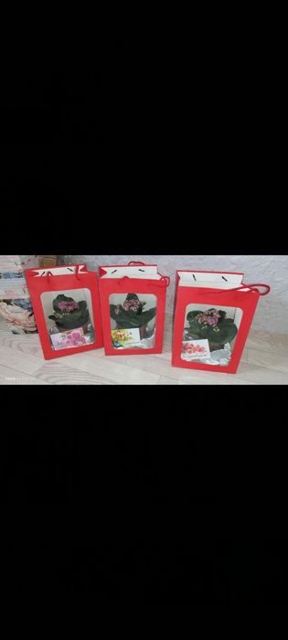 Цветы подарки цветущие