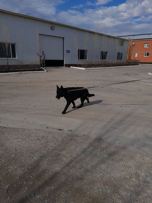 Вязка. Кабель ВЕО. Бесплатно.