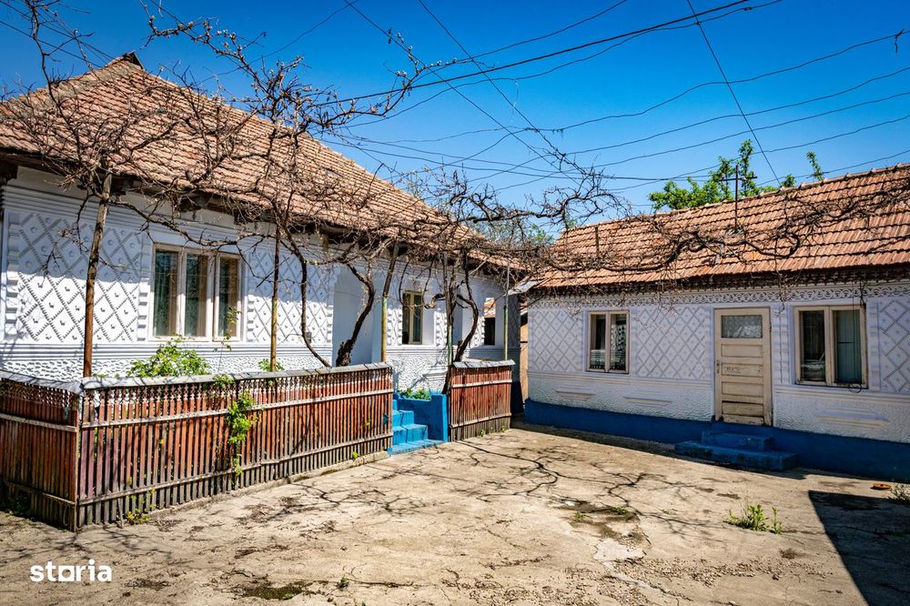 Remus Lacatusu 58, Magiresti — pentru cei care au decis ca vor curte