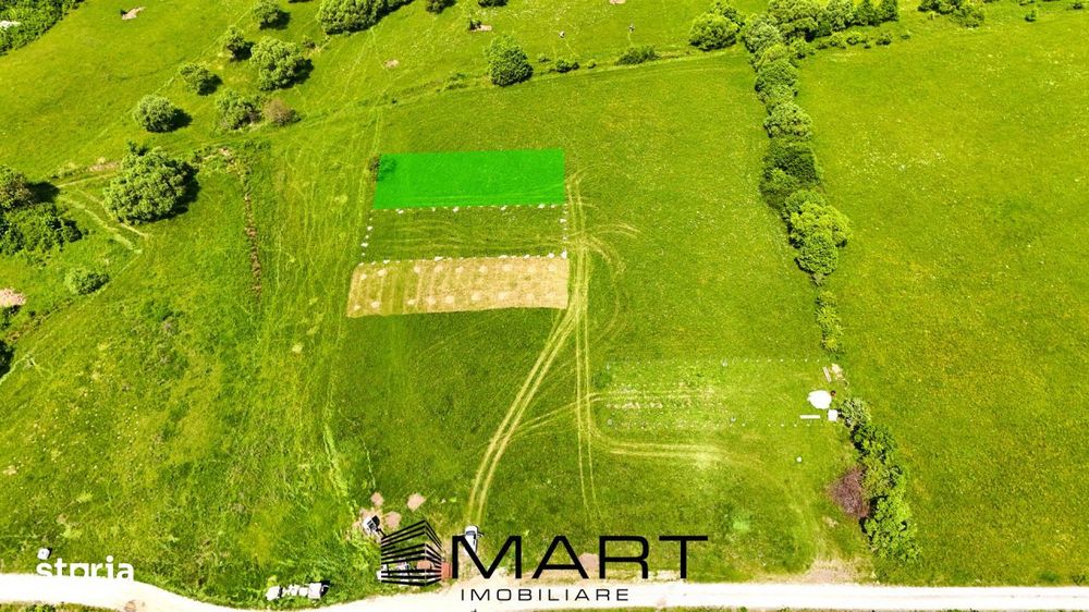 Teren extravilan 600mp in Tocile de Jos