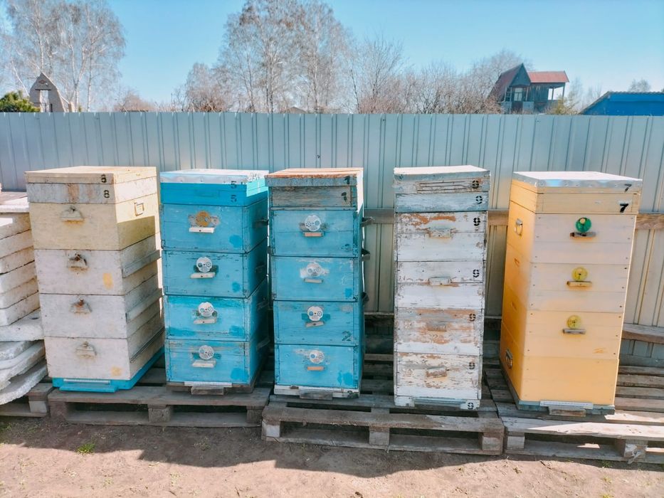 Продам ульи системы "Рута"