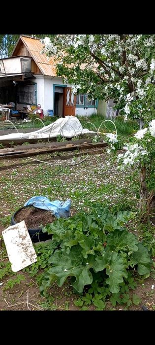 Продам Дачу. Сад Металлург