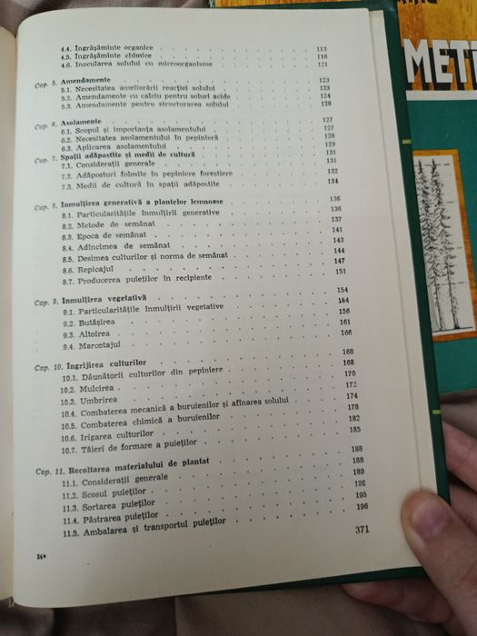 Împăduriri - Ioan Damian