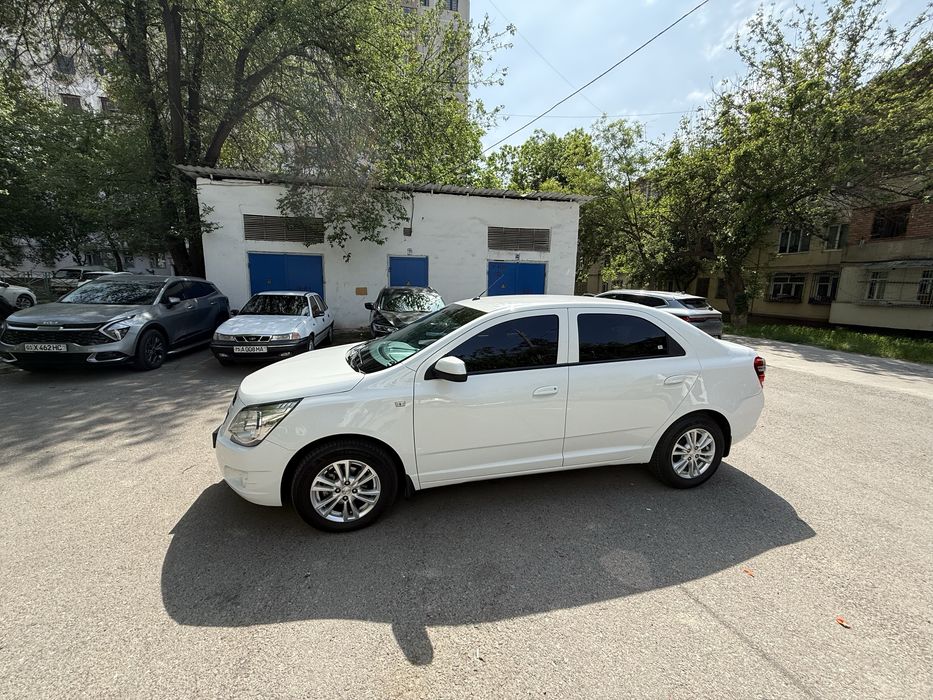 Cobalt LTZ euro 2025