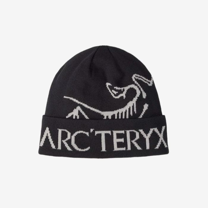 Arcteryx Hat (Шапка)