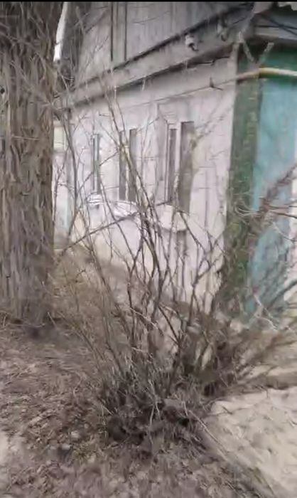 Журын ауылынан уи сатылады.